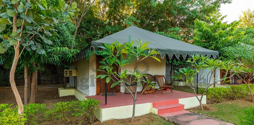 Jungle Cave Resort Ranthambore
