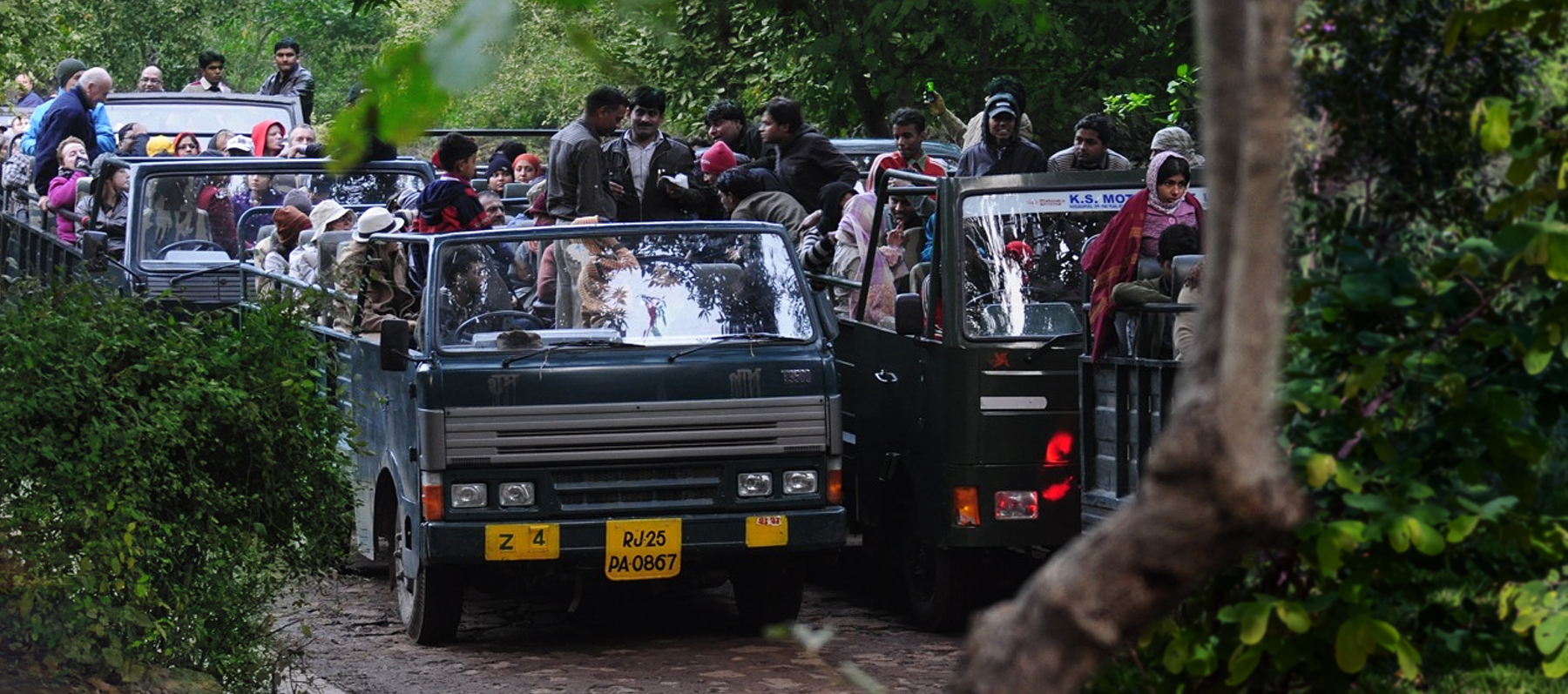 Canter Safari Ranthambore